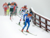 NM på ski: Northug
